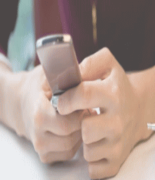 �������_�Ƃ����T��E���M���̃A�C�Y�V�[�N�����T��� ���{��